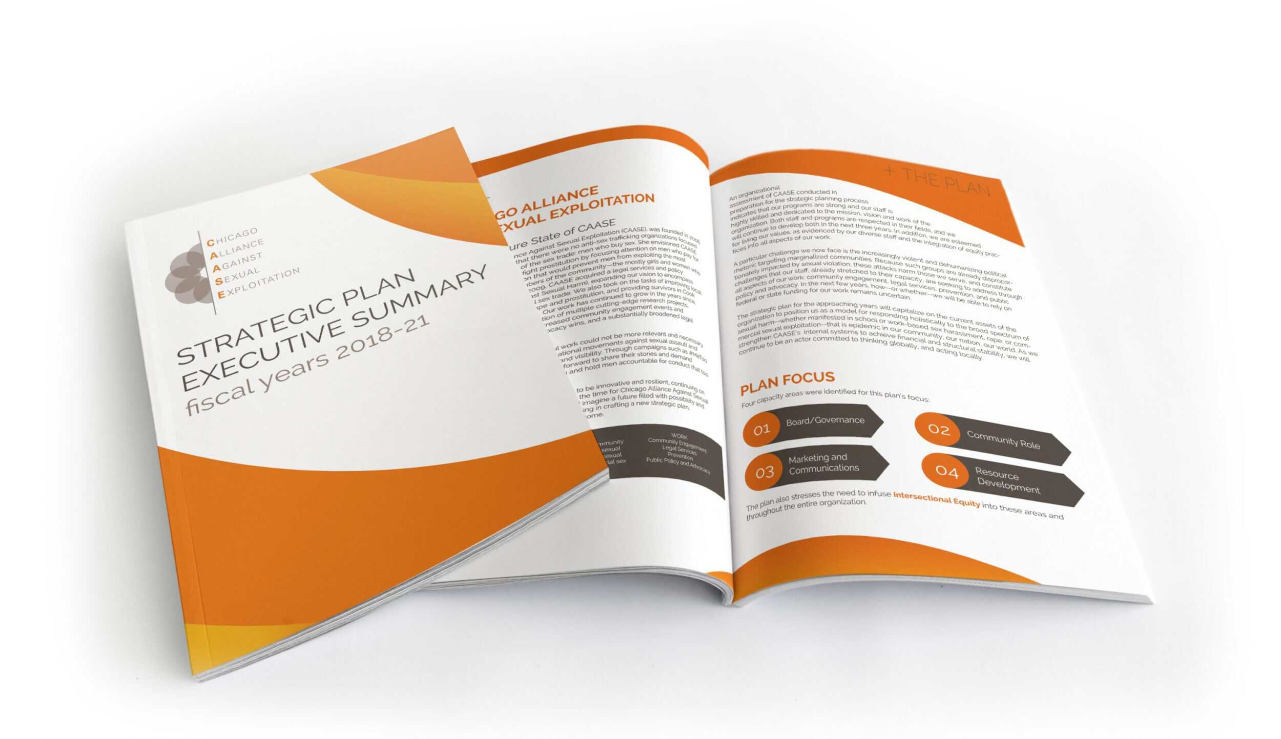 Strategic Plan Executive Summary 2018-2021