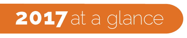 Orange graphic that reads, "2017 at a glance"