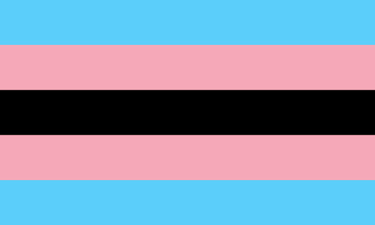 Black Trans Flag